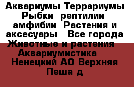 Аквариумы.Террариумы.Рыбки, рептилии, амфибии. Растения и аксесуары - Все города Животные и растения » Аквариумистика   . Ненецкий АО,Верхняя Пеша д.